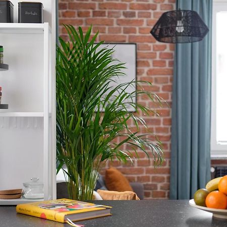 Mikroklimatyczny Apartament Dla 4 Osob - Blisko Szlakow, W Centrum Шклярска Поремба Екстериор снимка